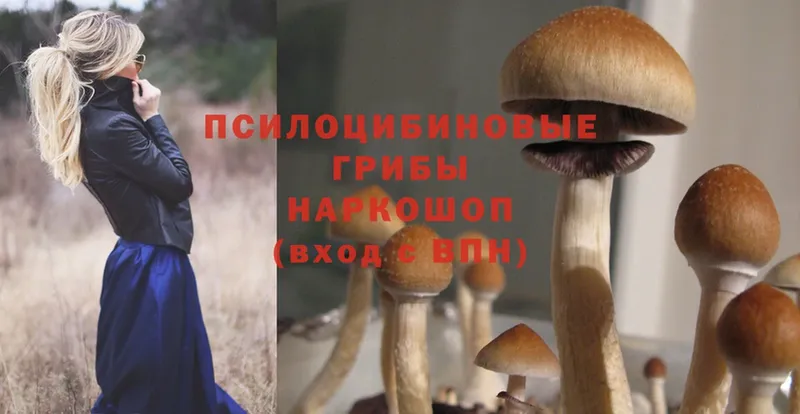 blacksprut маркетплейс  цены   Игра  Галлюциногенные грибы Psilocybine cubensis 